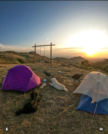 Camping Quiriri - Main Image