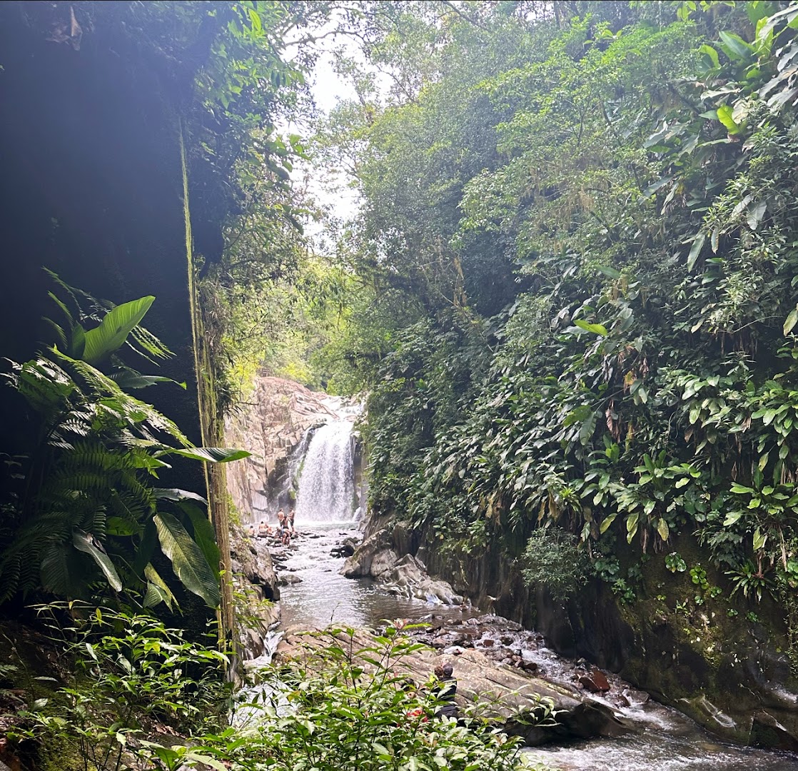 Montanha Lá Vista - Treviso SC - Image 4