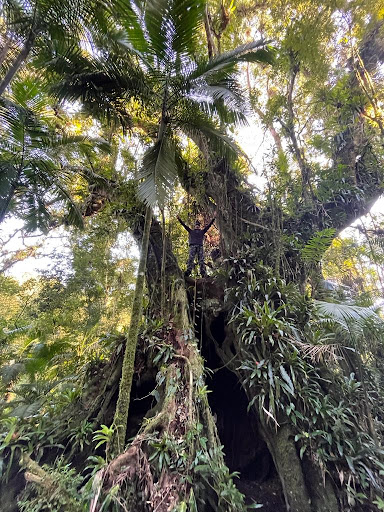 Fazenda Tonolli Camping - Image 3