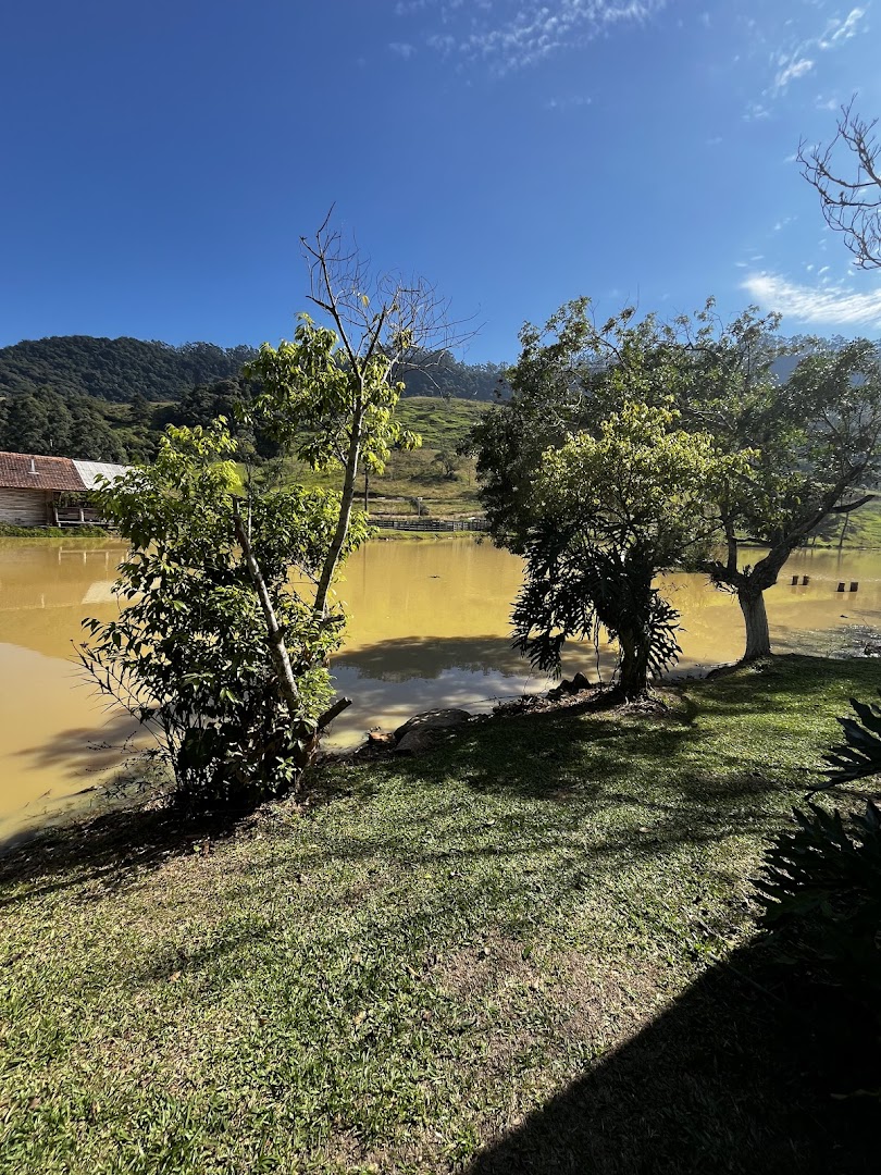 Camping e Restaurante Selin de Prata - Image 4