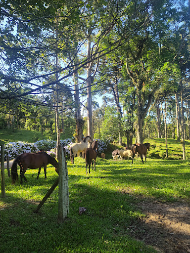 Camping e Cabanas Minatti & Ramos - Image 3