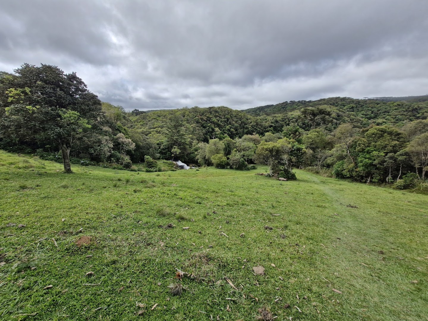 HOTEL ESTANCIA ITAPERUNA - RESTAURANTE TABERNA - Image 5