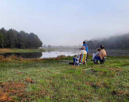 Ilhas do Perimbó - Image 3