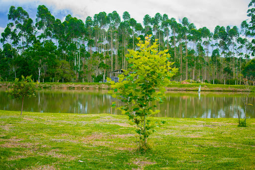Sítio Ide . Casamentos - Image 3