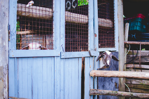 Sítio Ide . Casamentos - Image 4