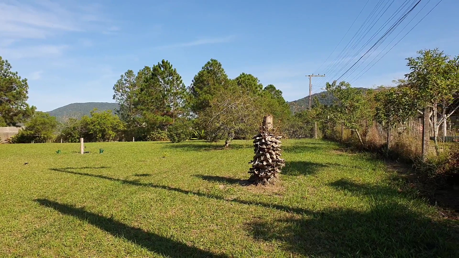 Red River Motorhome - Image 2