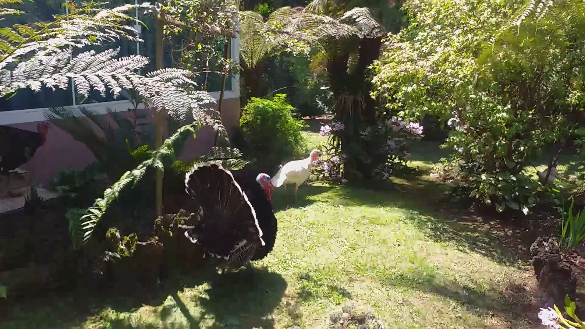 São José Pousada Rural - Image 2