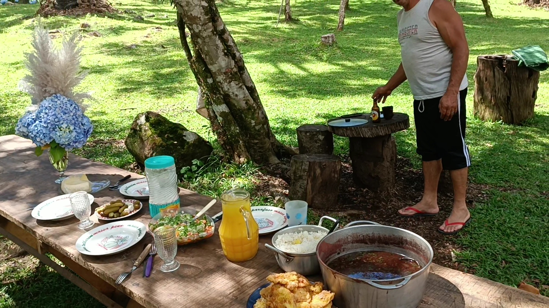 Pousada Recanto da Natureza - Bom jardim da serra - Image 2