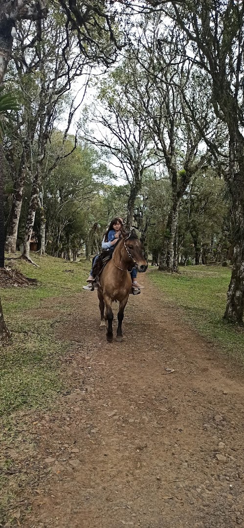 Pousada Recanto da Natureza - Bom jardim da serra - Image 4