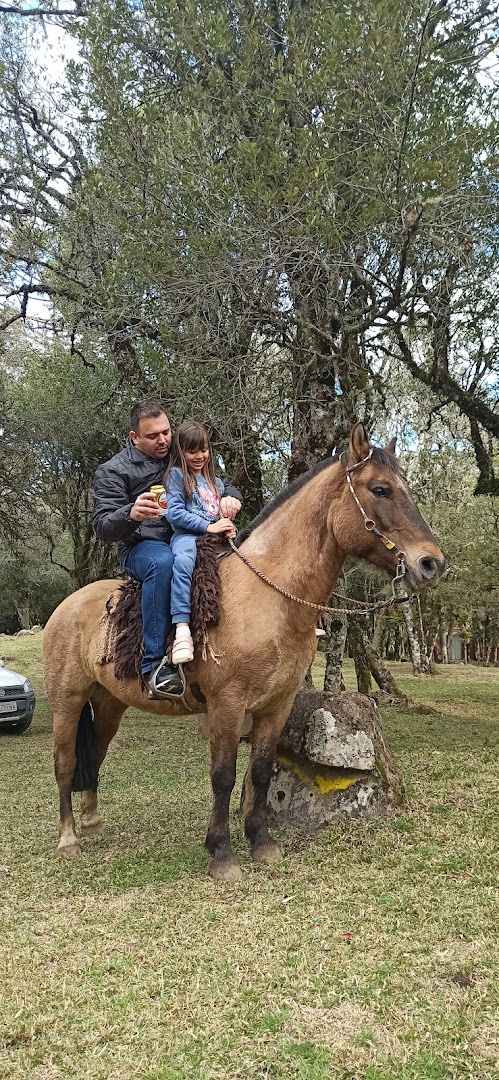 Pousada Recanto da Natureza - Bom jardim da serra - Image 5