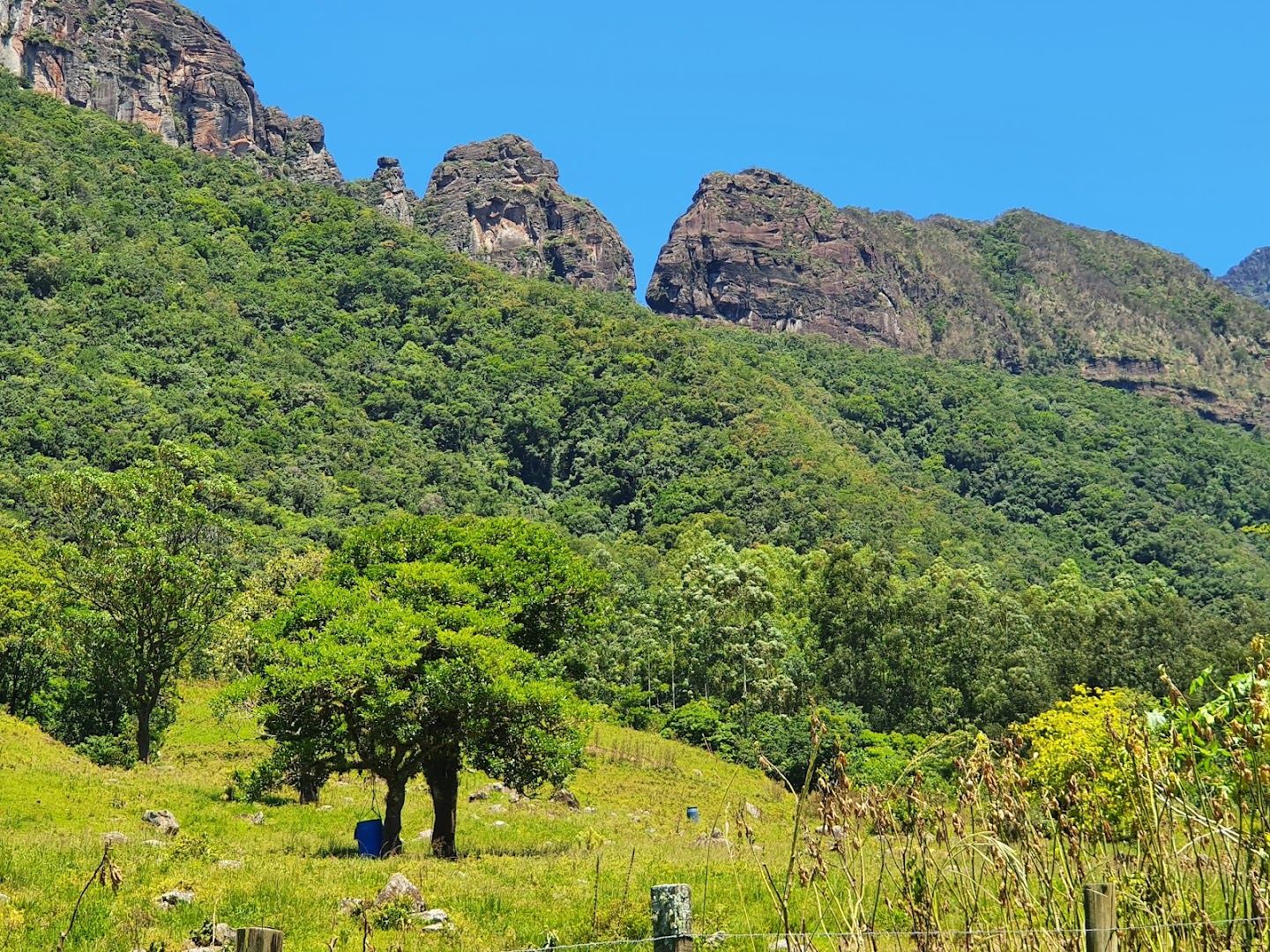 Pesque Pague e Camping Rio da Vaca - Image 3