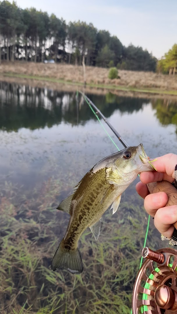 Pampa Rural - Main Image