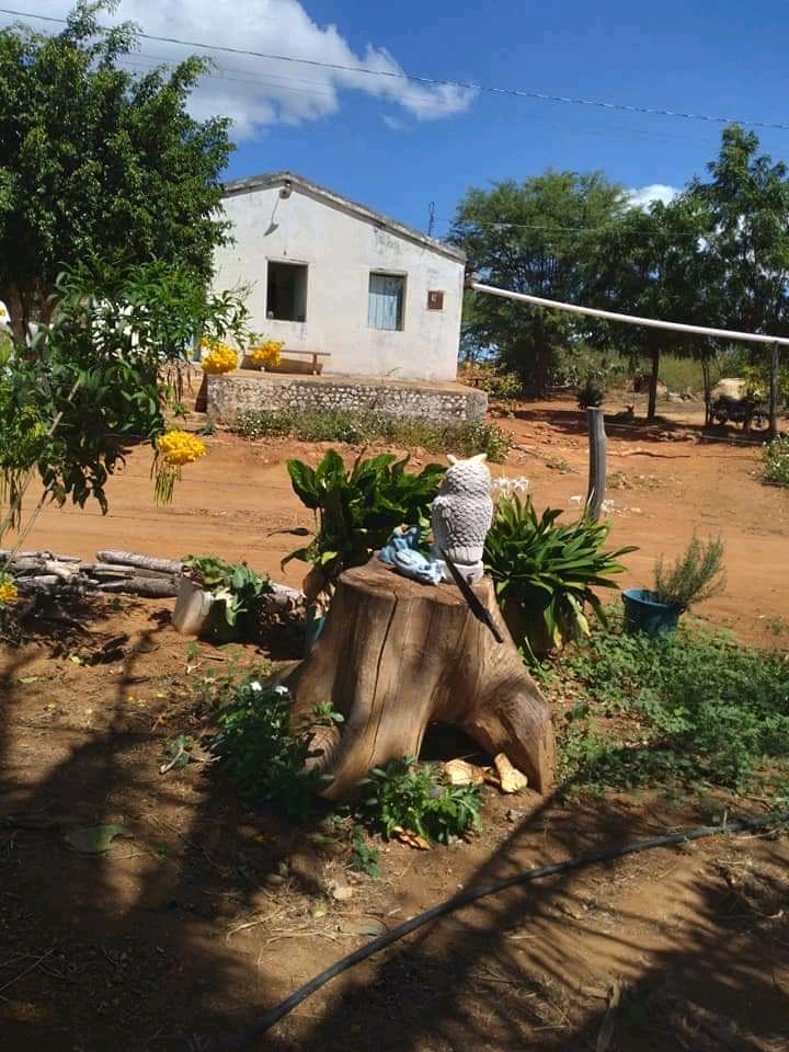 Camping Improvisado – Área de Lazer Transposição do São Francisco – Monteiro - Image 2