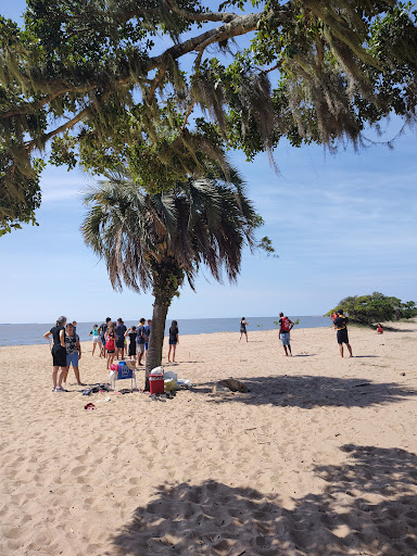 Camping dos Pinheirais - Image 2