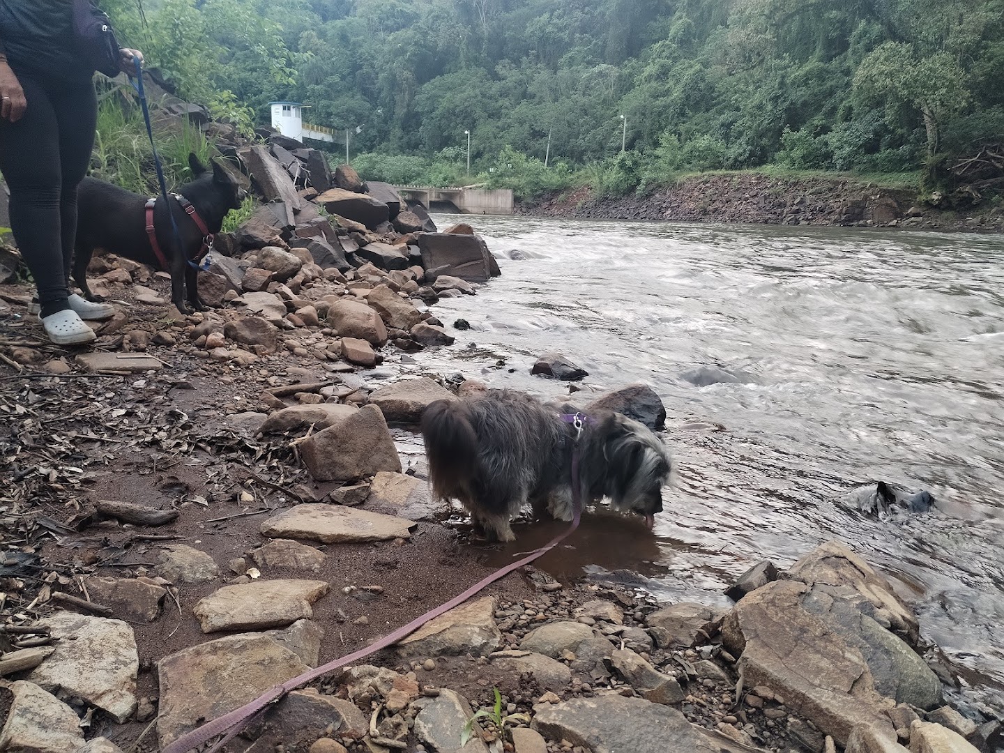 Camping Municipal - Image 3