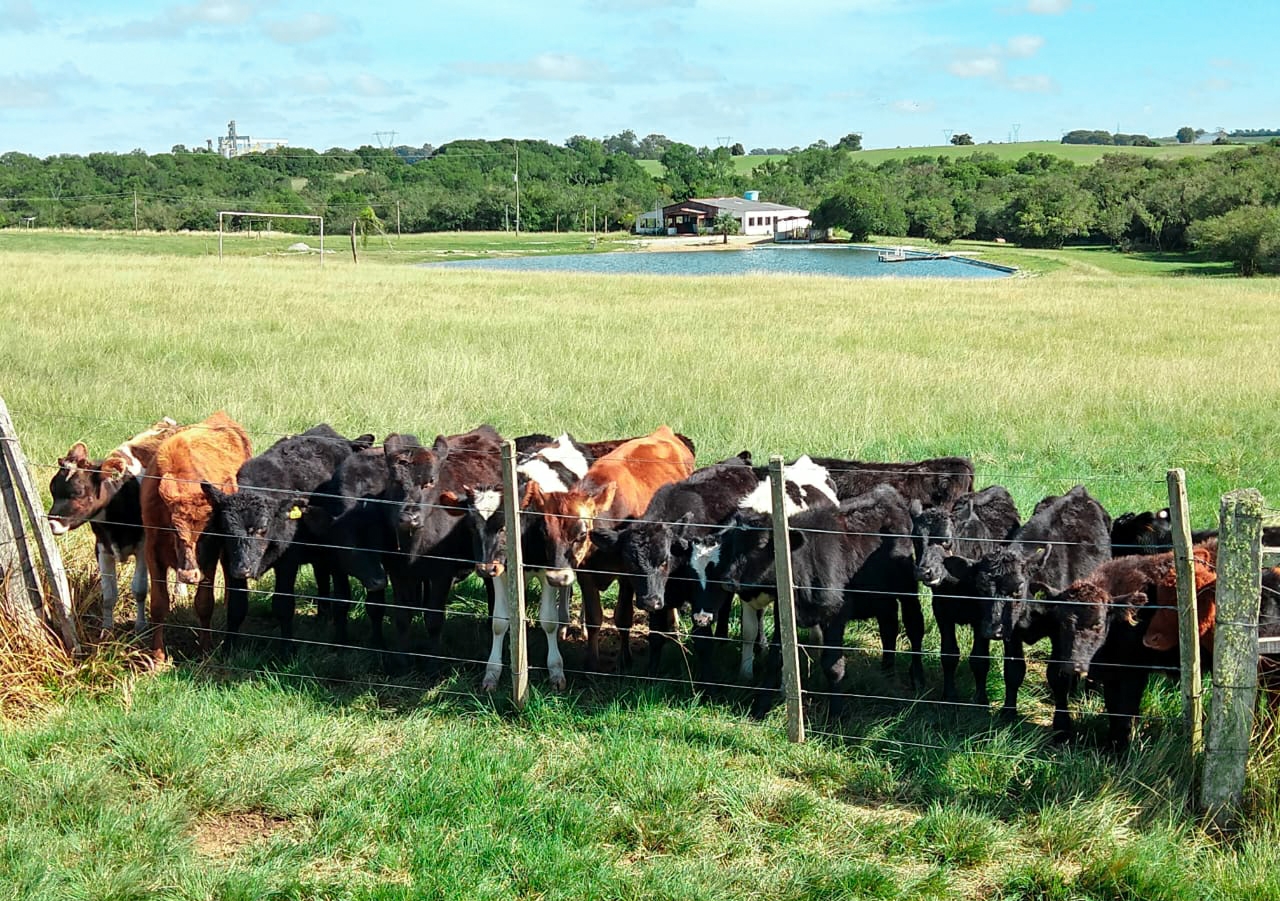 Camping Canaã - Image 3