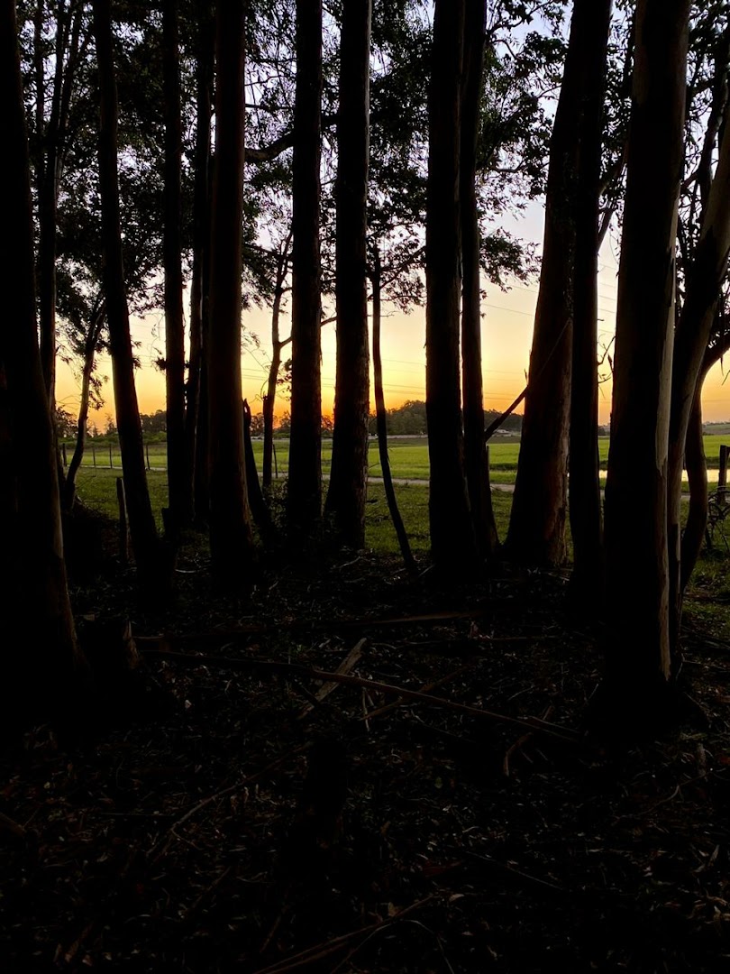 Camping Canaã - Image 5