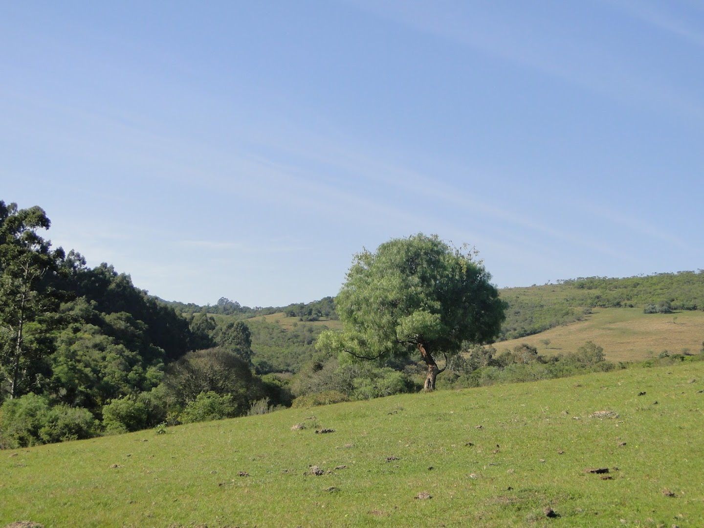 Camping Galpão de Pedra - Image 4