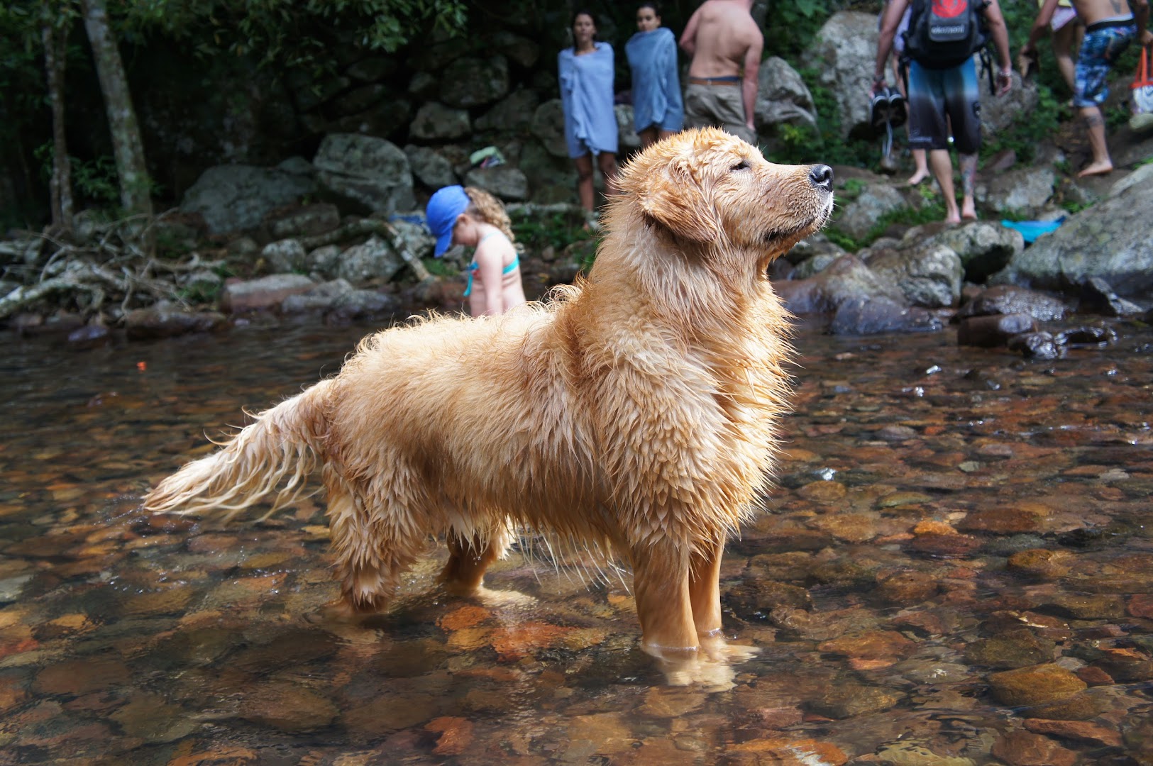 Pico da Galera - Camping e Pousada - Image 5