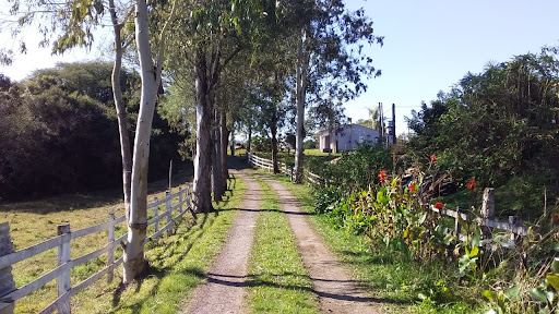 Chácara das Pedras - Camping do Amaro - Main Image