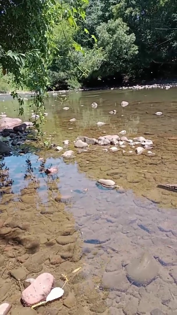 Camping do Guizo - Image 2