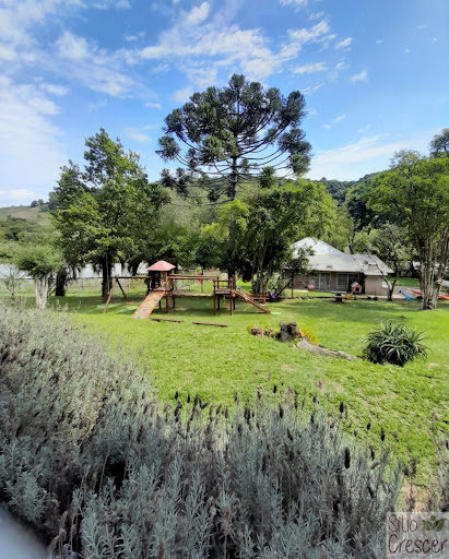 Sítio Crescer - Image 4
