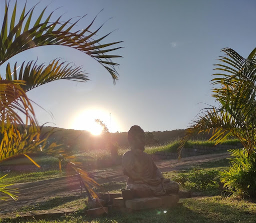 ECO Camping Praia das Pombas - Image 2