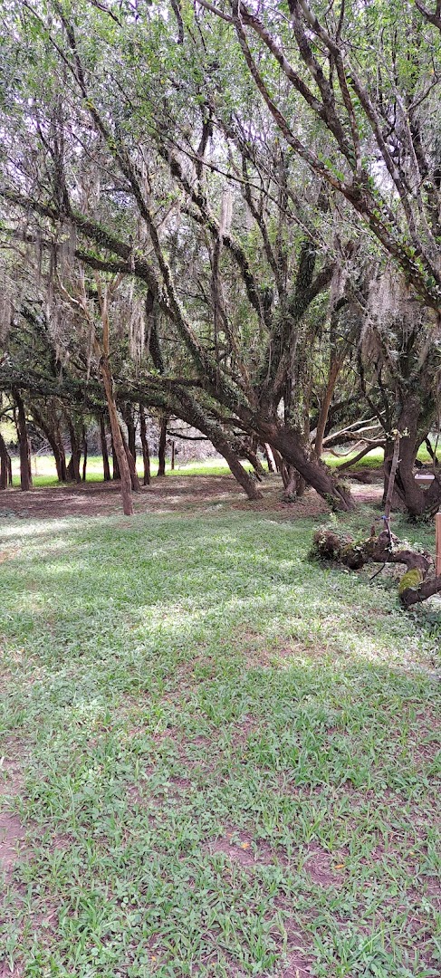 Camping Municipal Balneário Rio Camaquã - Image 5