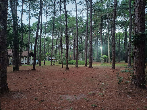 Camping Viva a Vida - Image 4