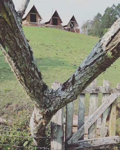 Fazenda Wolff - Image 3