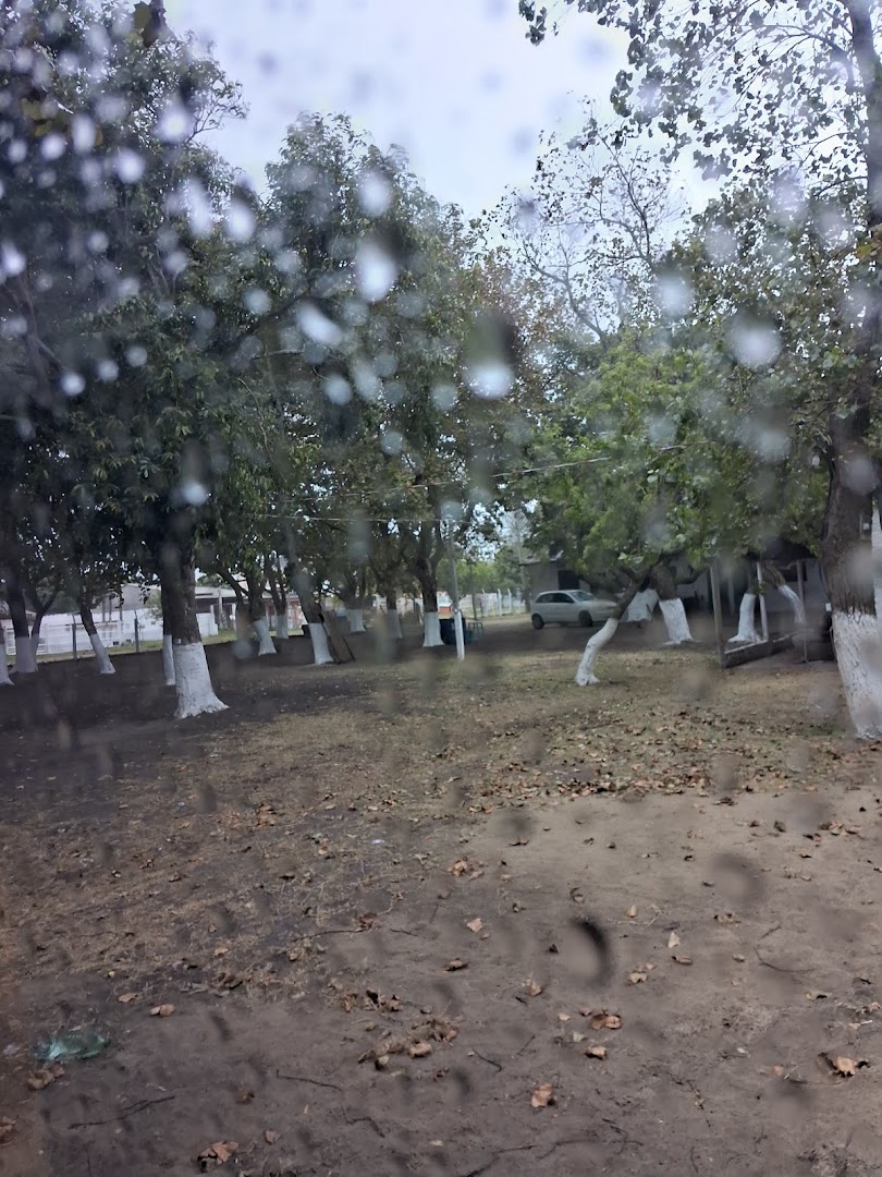 Camping sindicato rural - Cassino - Image 4