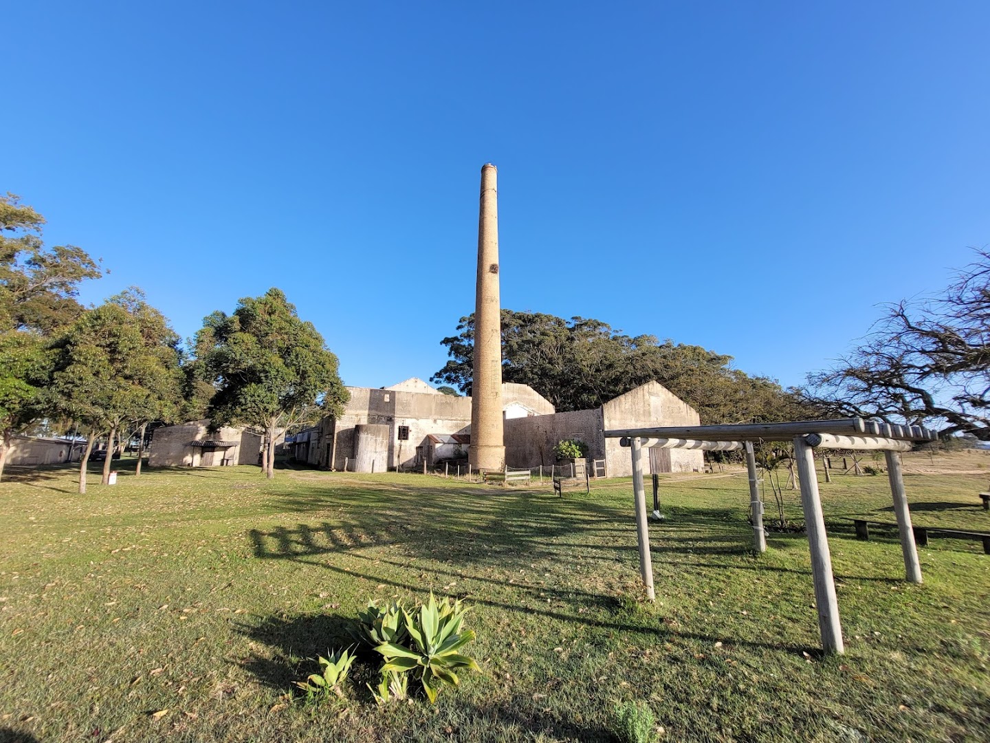 Camping dos Eucaliptos - Areal - Image 3