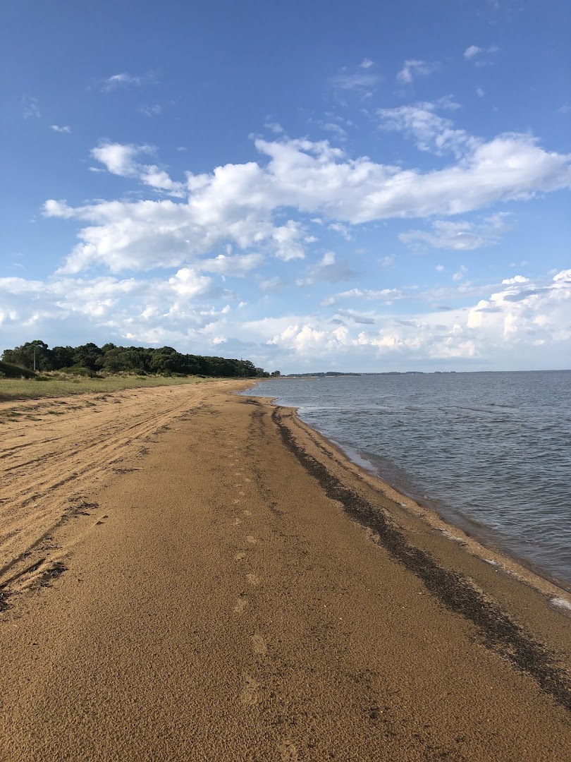 Camping dos Eucaliptos - Areal - Image 4