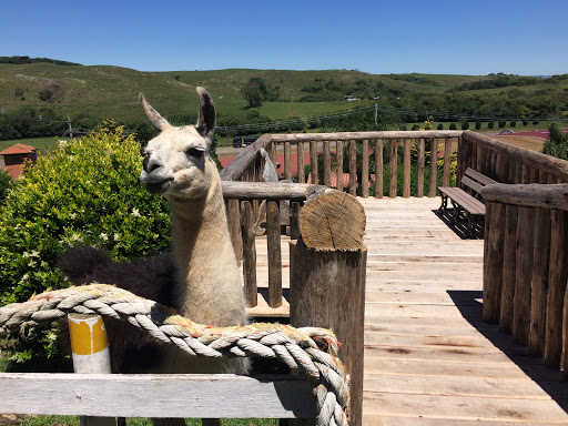 Hotel e Parque das Tuias - Image 3