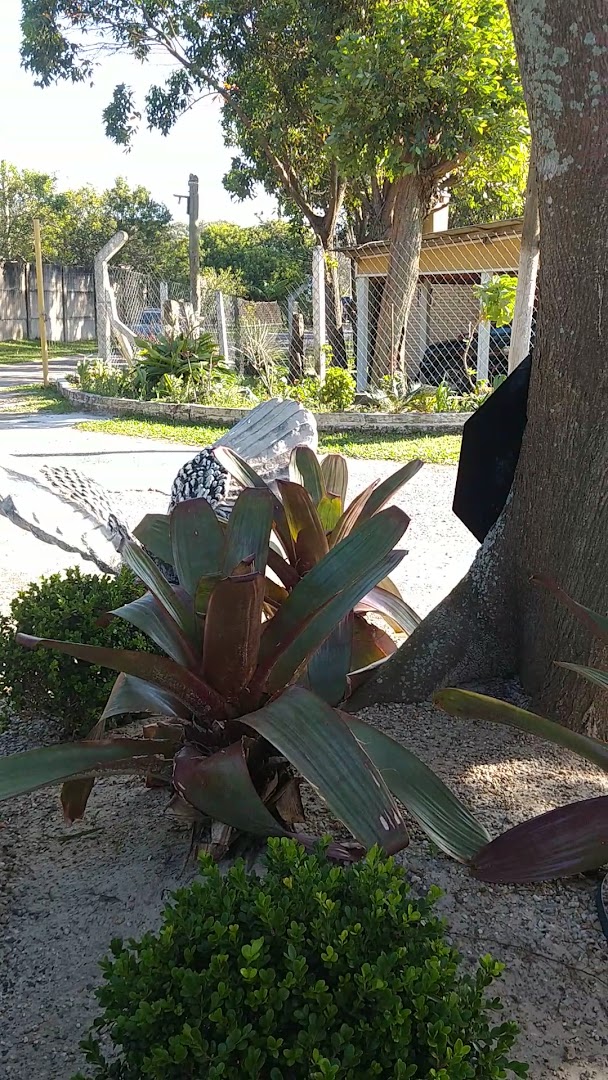 Camping Praia - Image 2