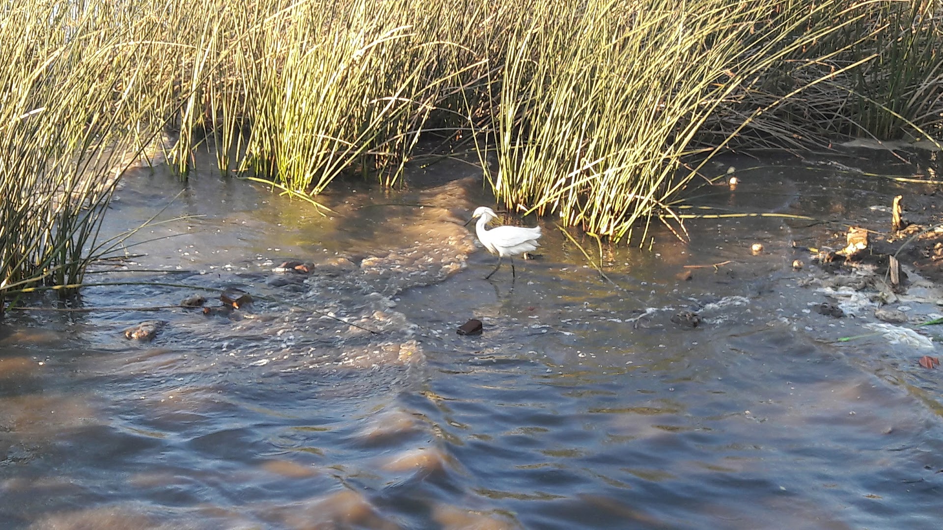 Camping Recanto da Lagoa - Image 2