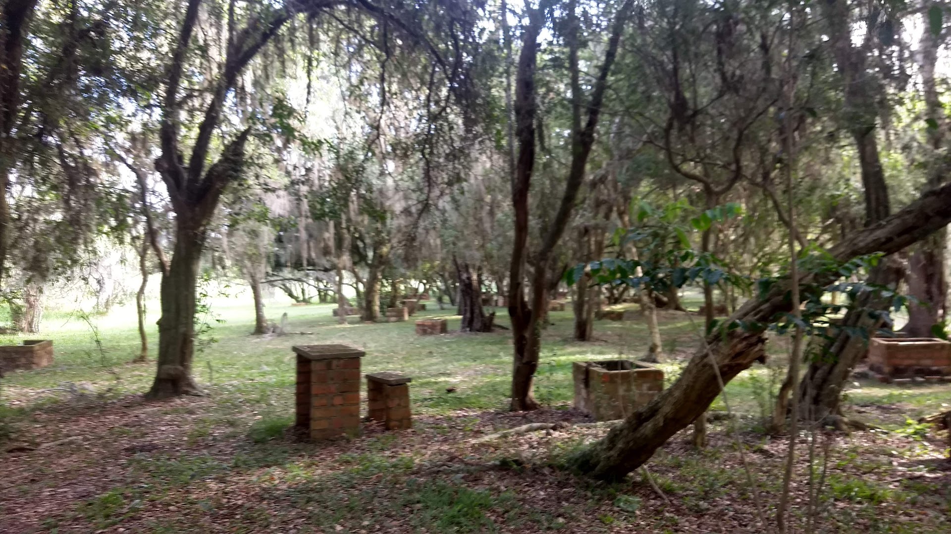 Camping Do Wanderlei - Image 2