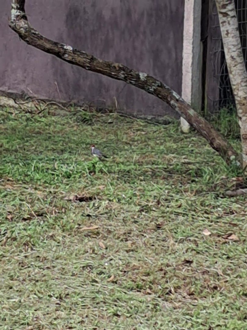 Camping e Pousada Paraiso 21 - Image 2