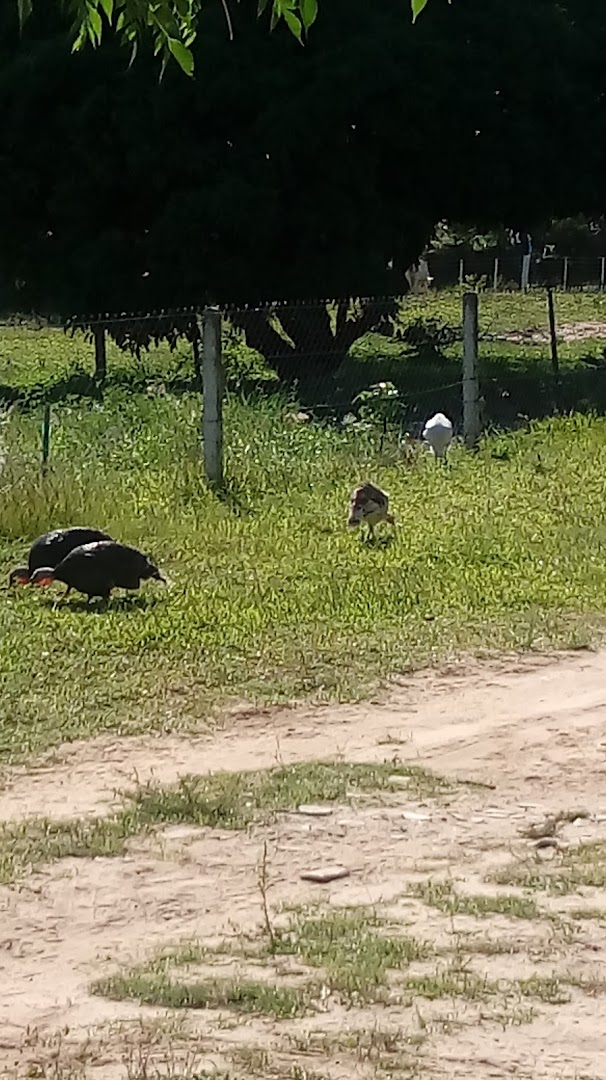 Camping e Pousada Paraiso 21 - Image 5