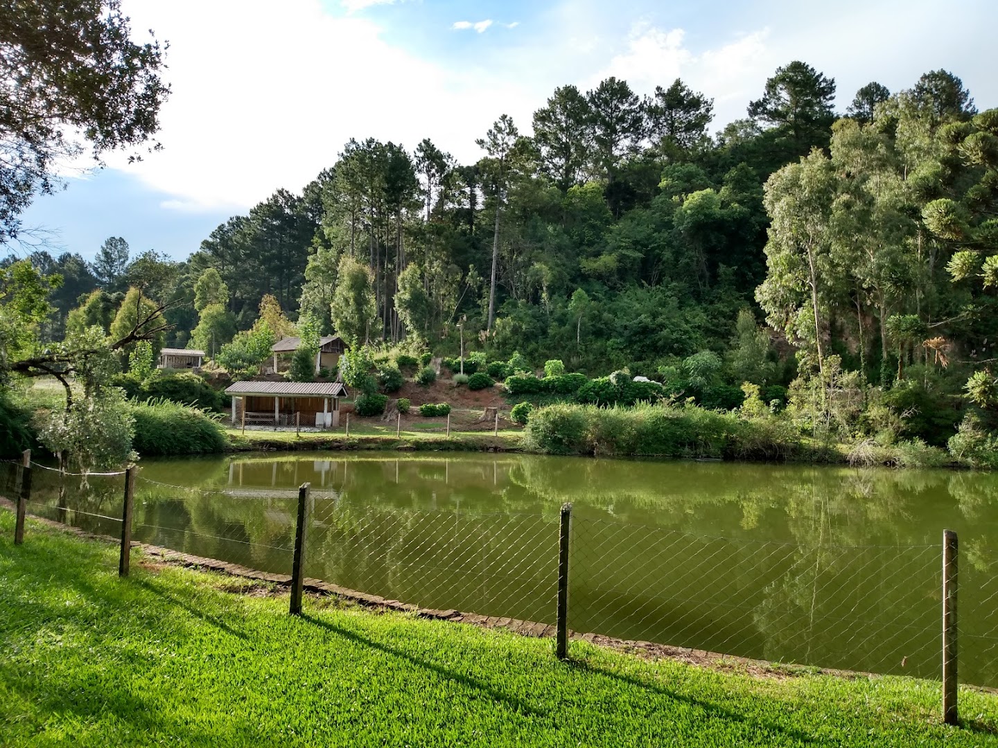 Camping da Vindima - Image 4