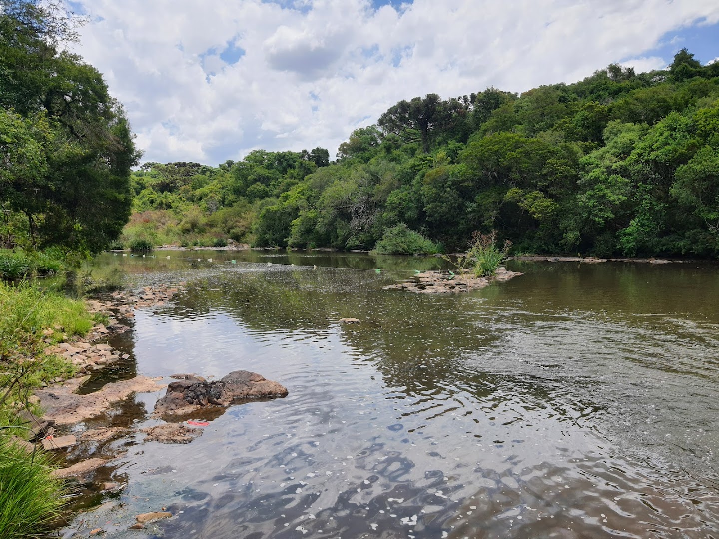 Camping Do Zecão - Image 5