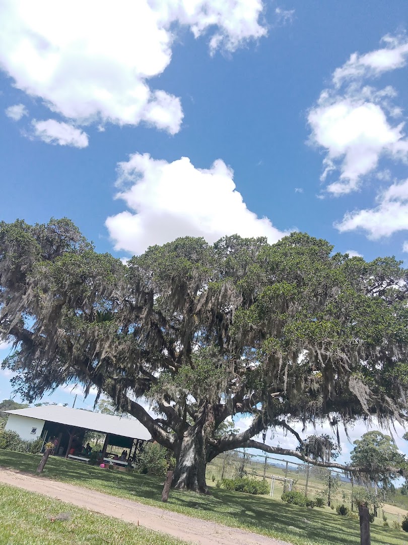 Mundo Nativo - Main Image