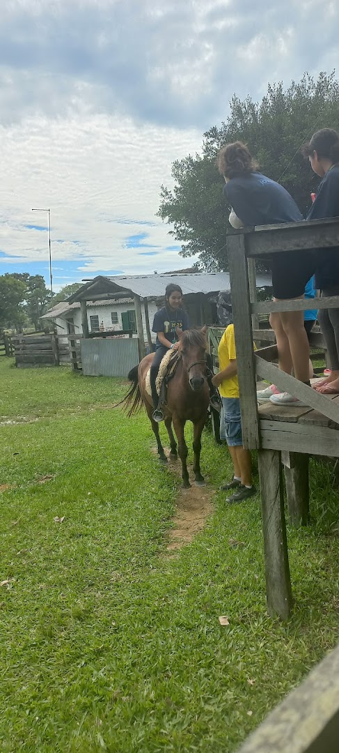 Mundo Nativo - Image 3