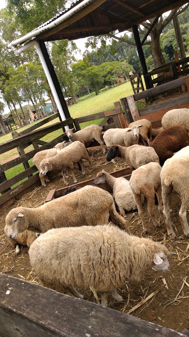 Mundo Nativo - Image 4