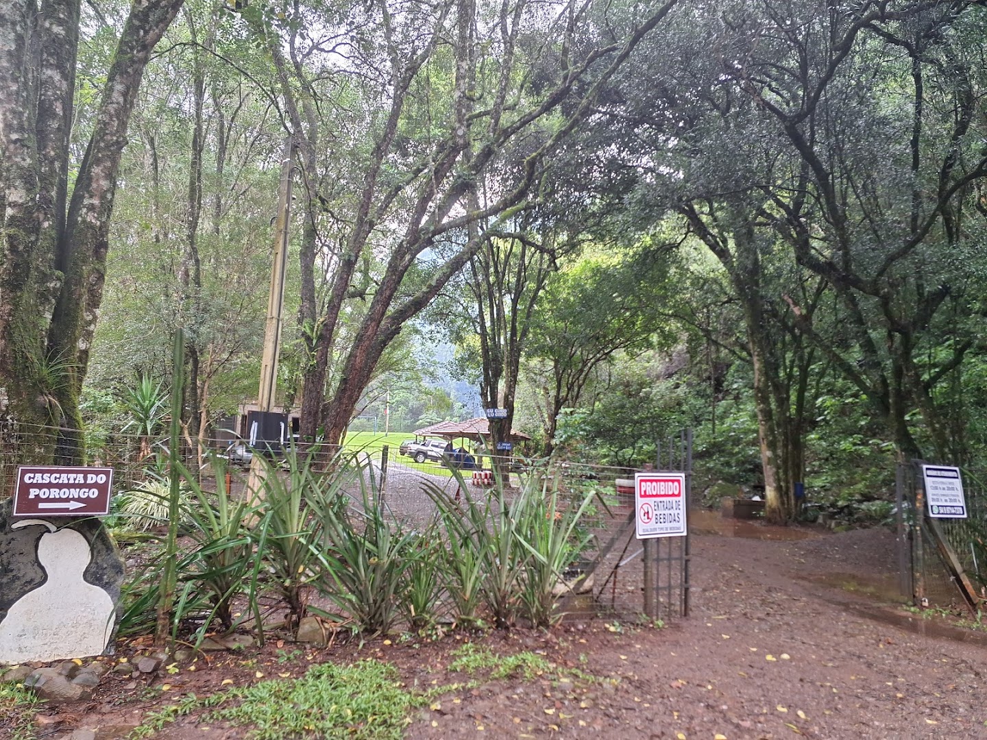 Cascata Do Porongo - Image 4