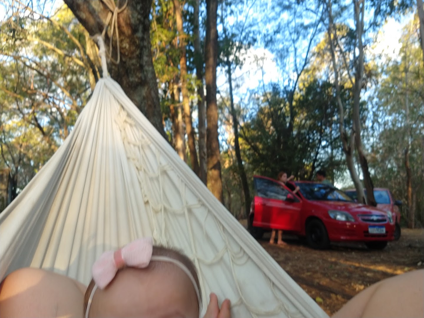 Sítio vidal - Image 2