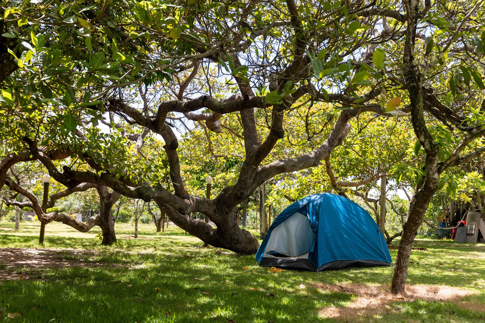 Camping da Praia - Main Image