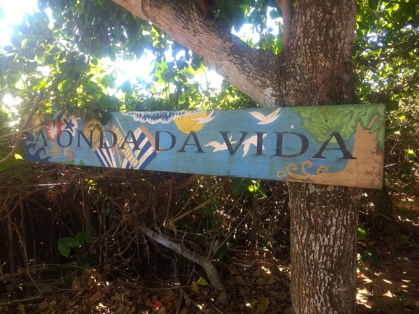 Camping da Praia - Image 5