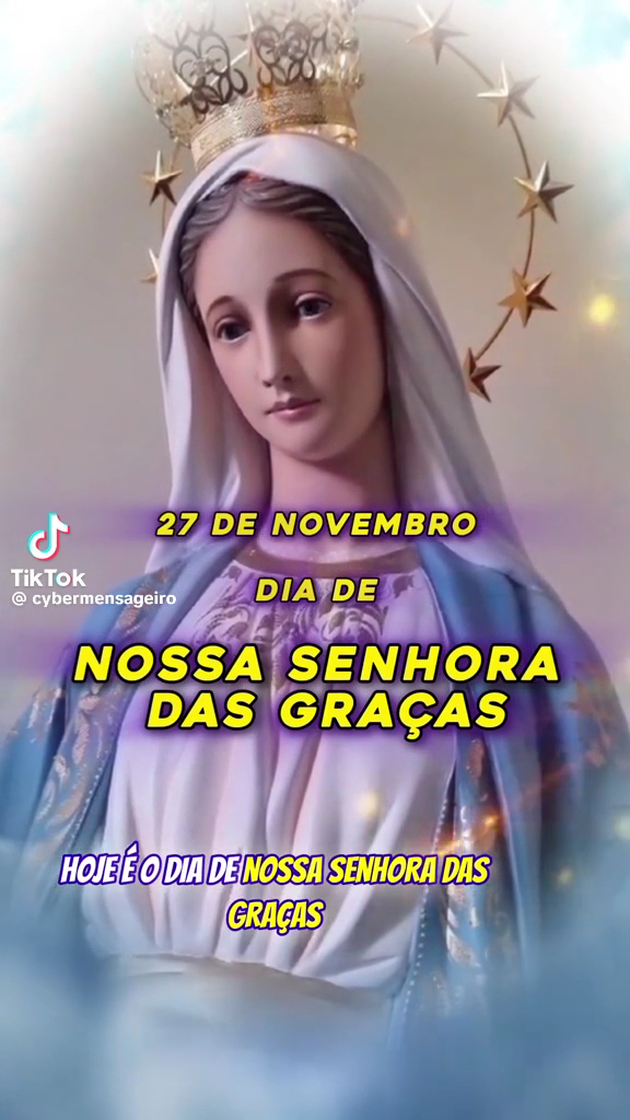 Camping Golfinho - Image 5