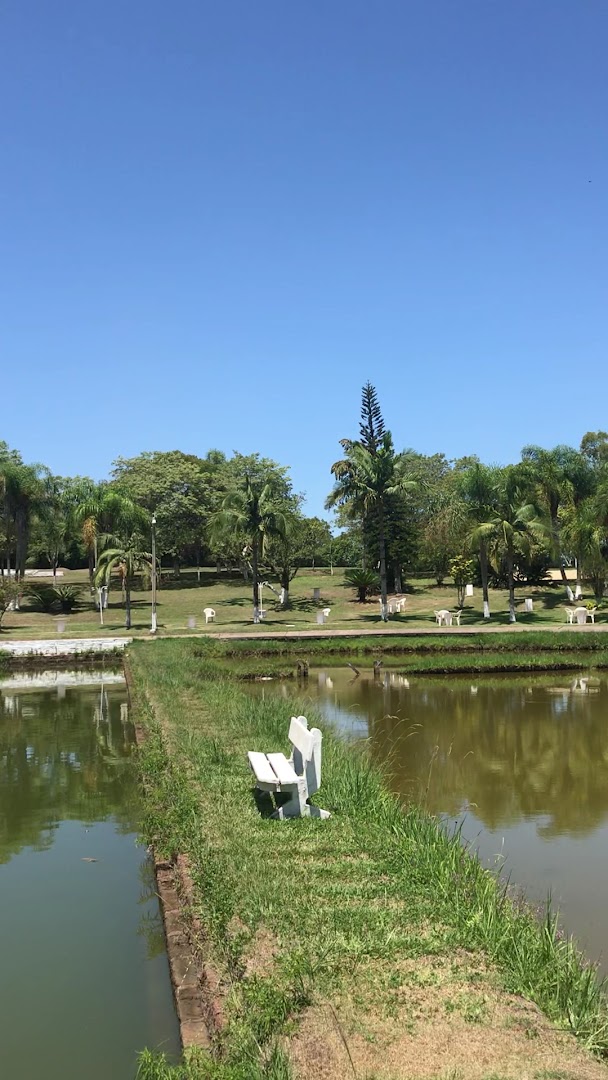 Hawai Pesca Club - Image 2